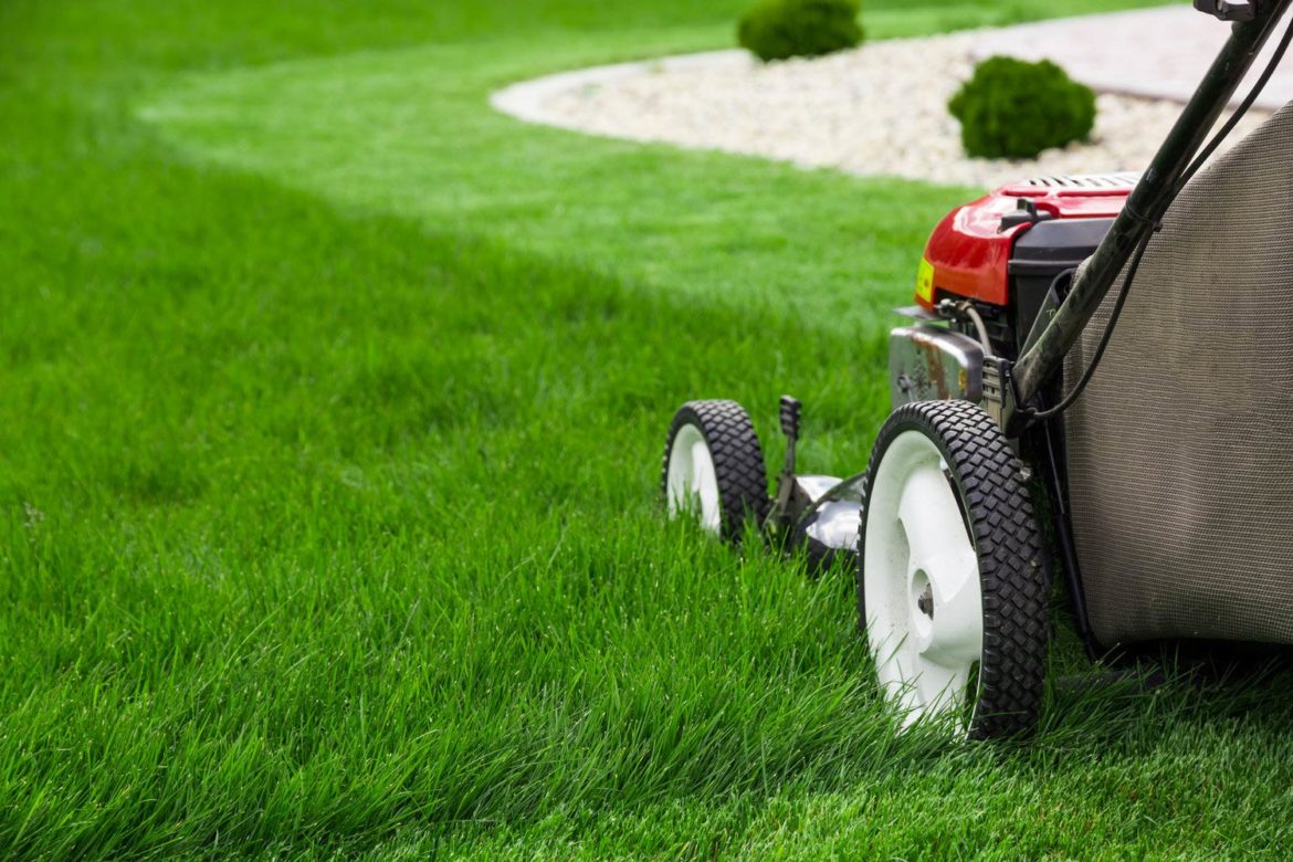 Easy Ways To Improve Your Lawn