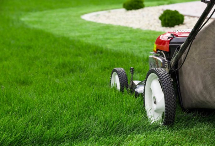 Easy Ways To Improve Your Lawn